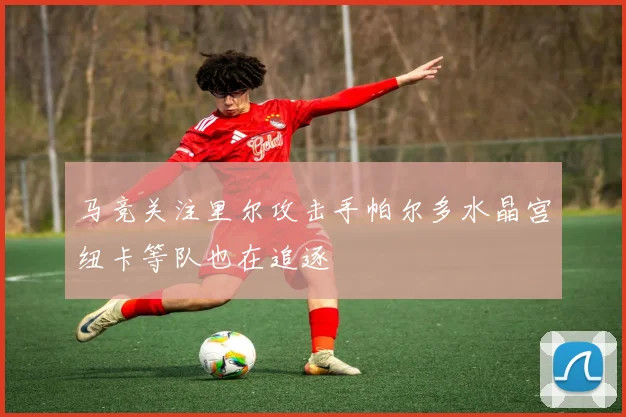马竞关注里尔攻击手帕尔多水晶宫纽卡等队也在追逐